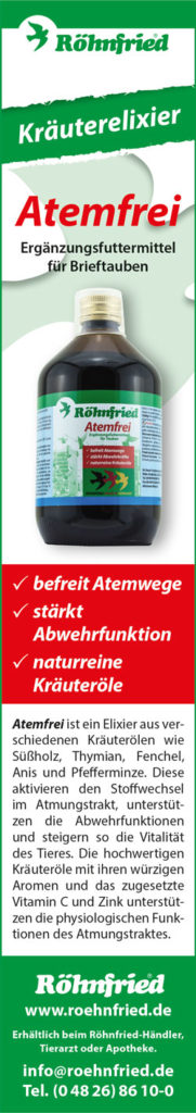 röhnfried feb 2018_3