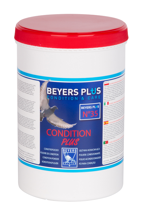 beyers_conditionplus nowy