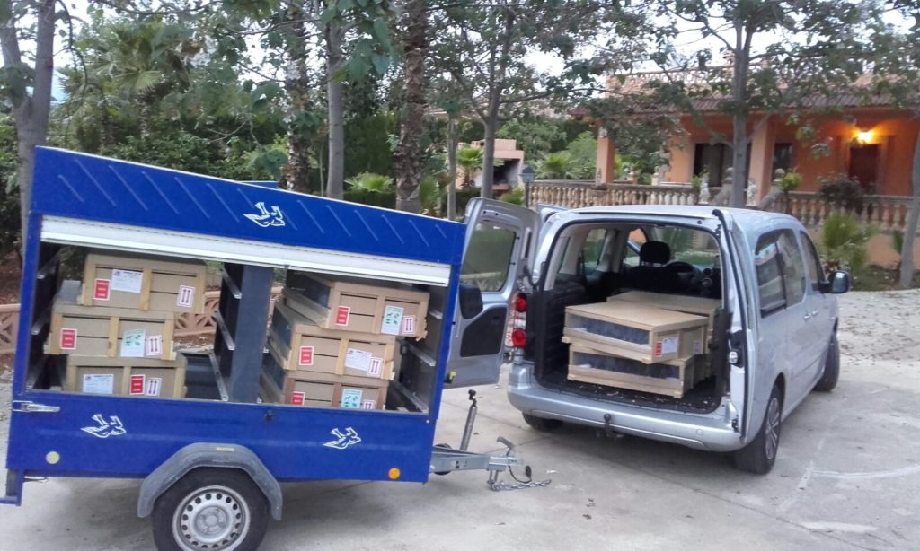 mallorca 2018 transport