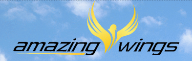 amazing wings logo neu