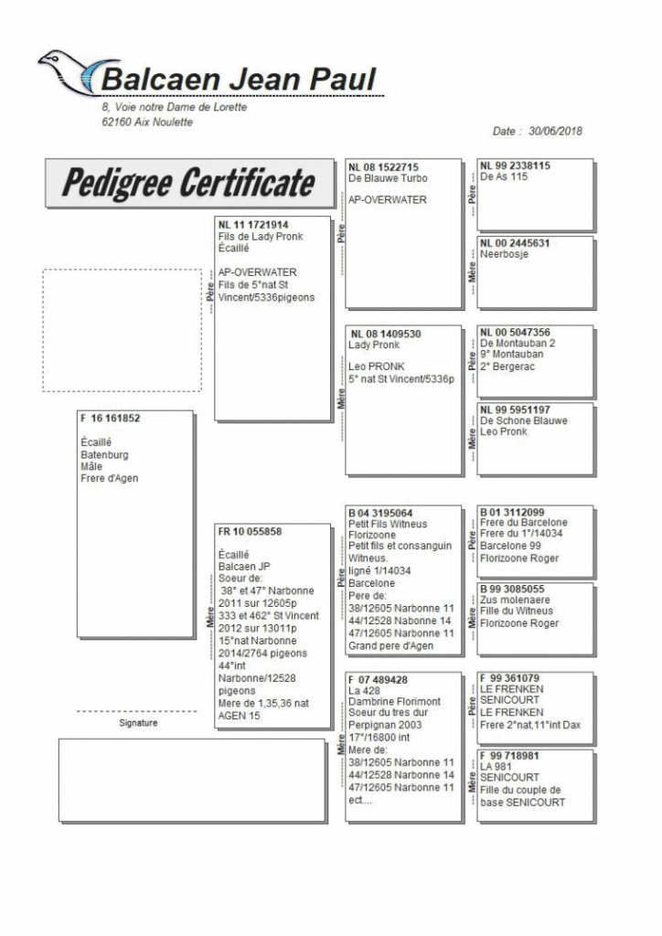 agen 2018 int sieger pedigree