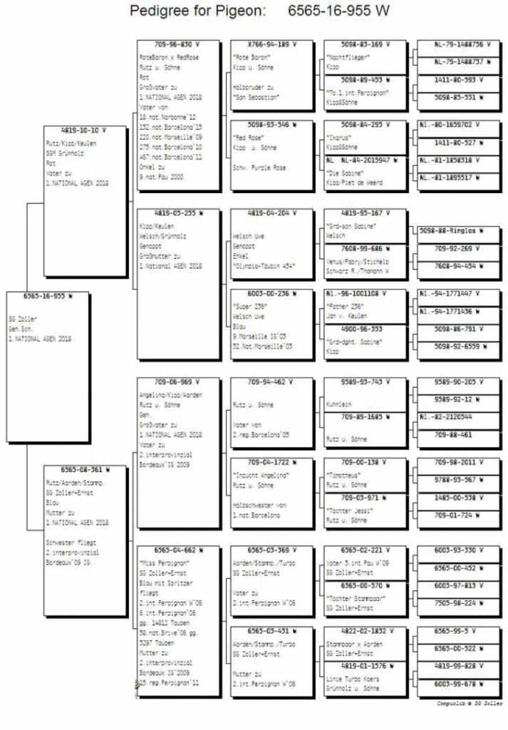 agen 2018 nat sieger_2