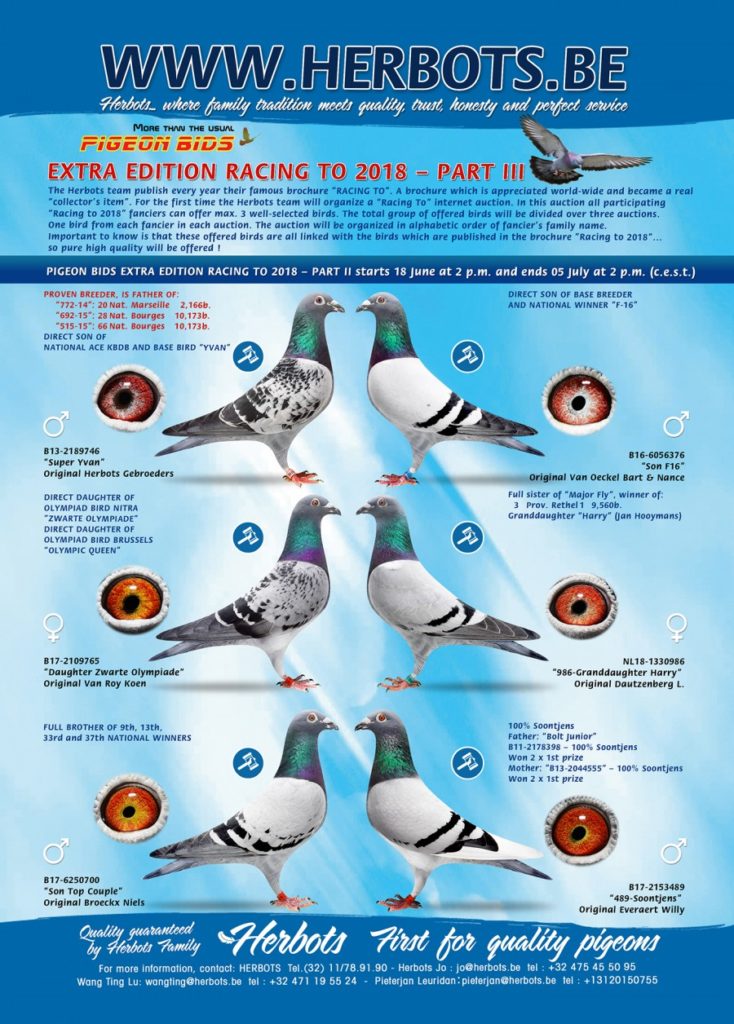 herbots racing 2018_3