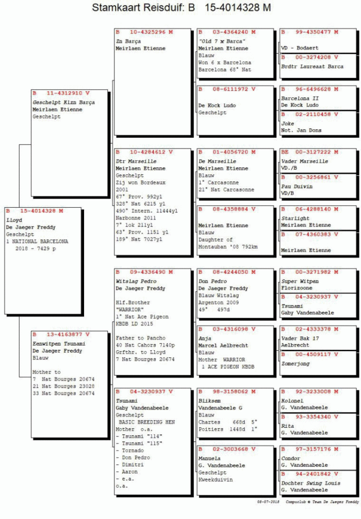 barcelona 2018 int sieger_1