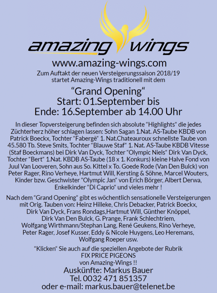 amazing wings opening 2018