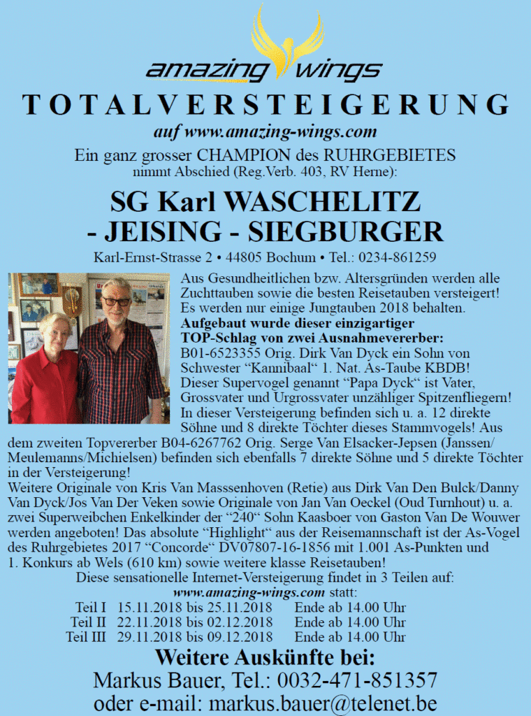 amazing waschelitz 2018
