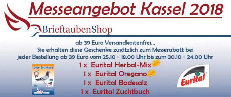 loja de carta pombo Kassel 2018 introdução
