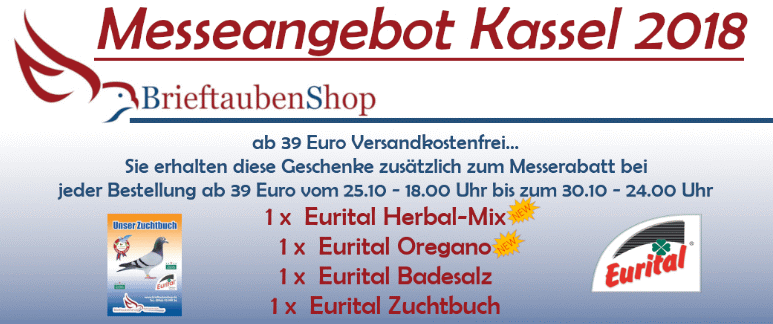 brieftaubenshop kassel 2018 intro