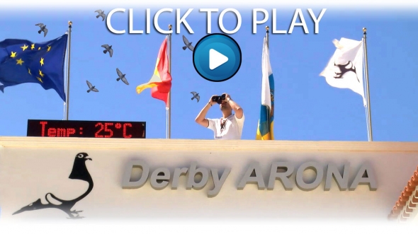 Derby ARONA 2021 - Hotspot 1 Survival Race Movie ...