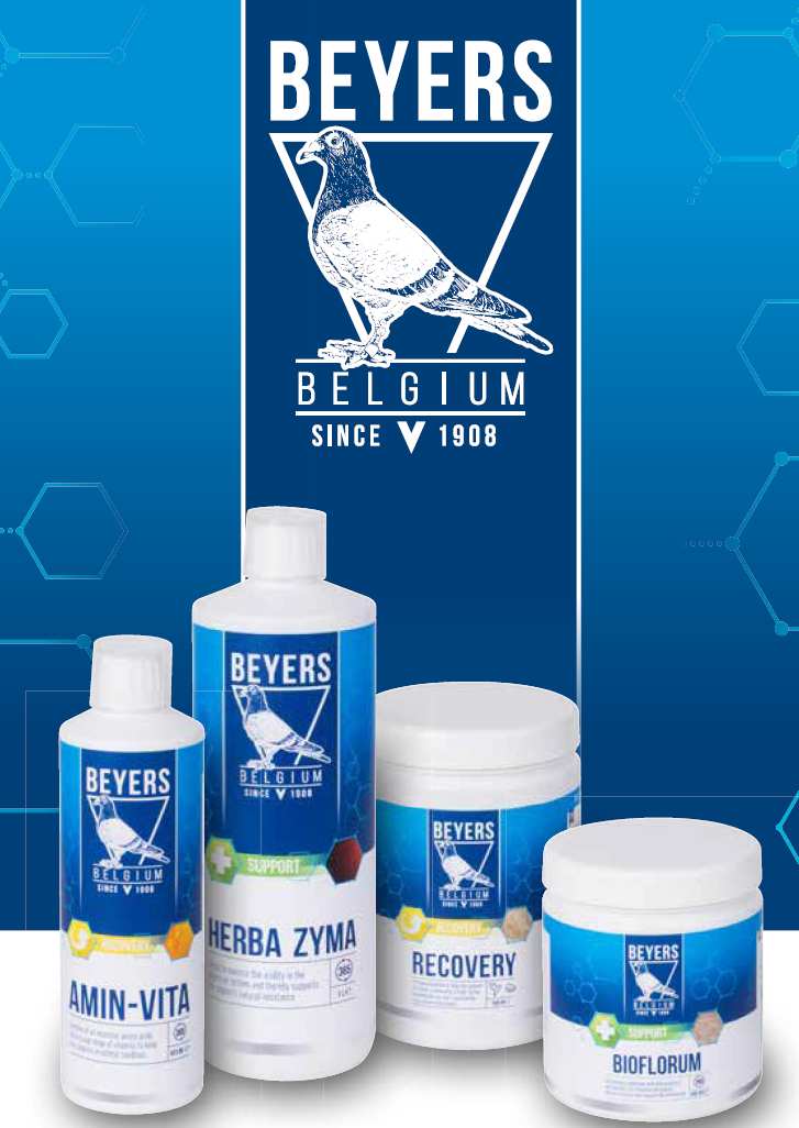 beyers condition intro