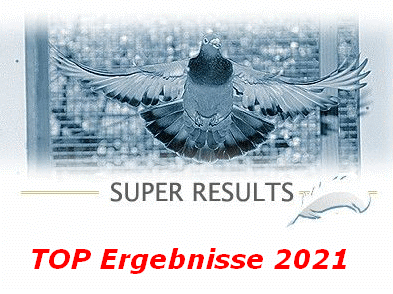 TOP Ergebnisse 2021