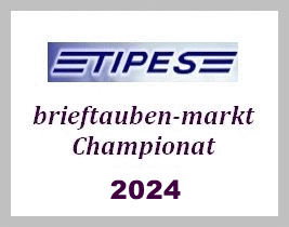 Brieftauben Markt Championat 2024