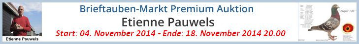 PREMIUM auction - Etienne Pauwels
