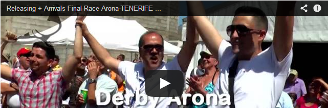 Endflug / Final carrera Arona-TENERIFE 2014