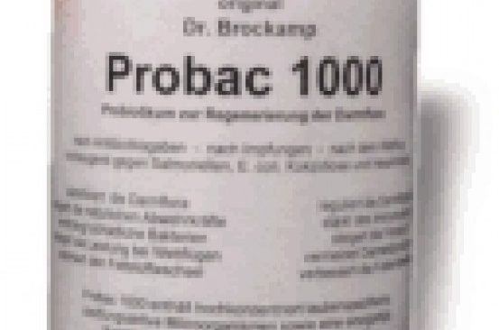 Dr Brockamp Probac 1000 500 g pour des pigeons voyageurs