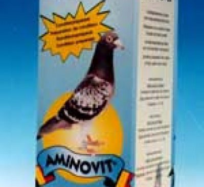 Vit amino 1000ml pour des pigeons voyageurs