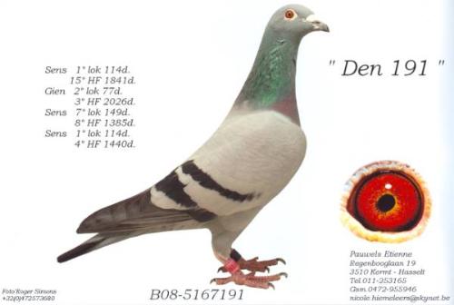 B08-5167191 Den 191