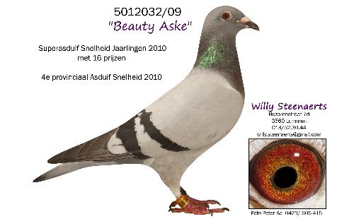 Beauty Aske 5012032/09