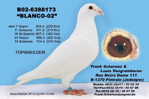 Blanco-02