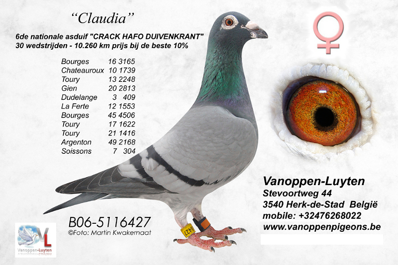 Claudia B06-5116427