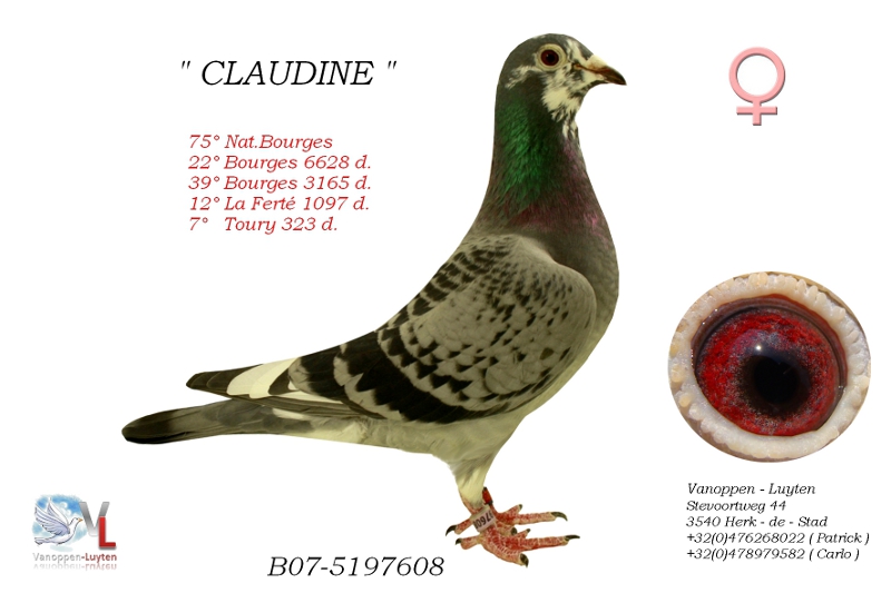 Claudine B07-5197608