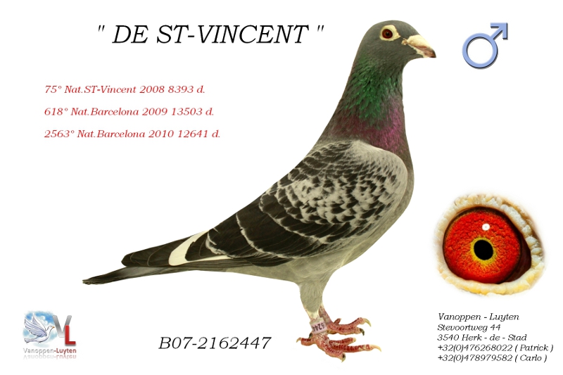 The St-Vincent B07-2162447