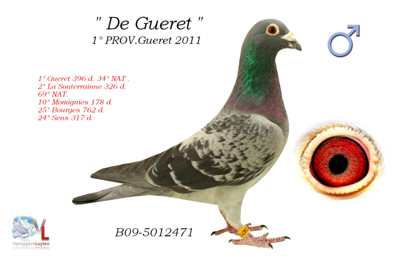 O Gueret B09-5012471