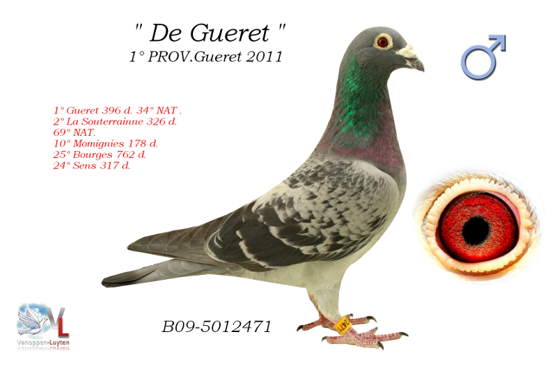 De Gueret B09-5012471