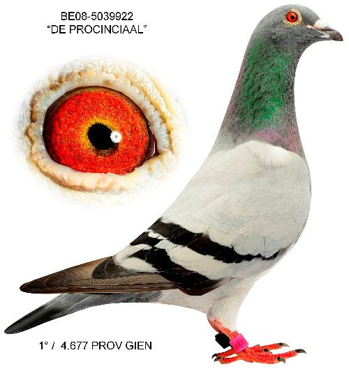 De Procinciaal Be08-5039922