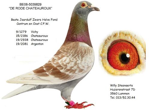 De Rode Chateauroux BE08-5039829