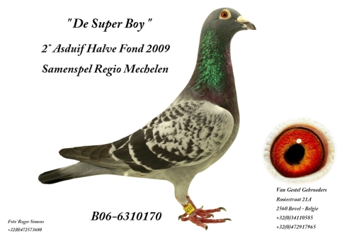 De Super Boy B06-6310170