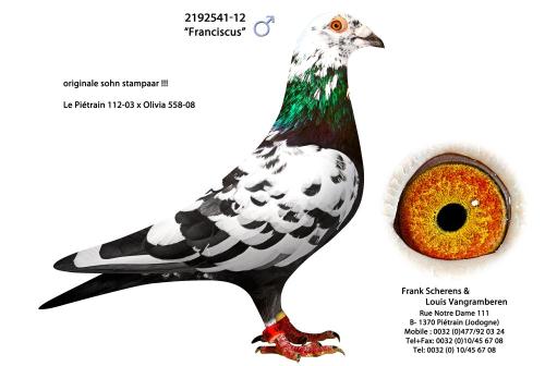 2192541-12 "Franciscus"