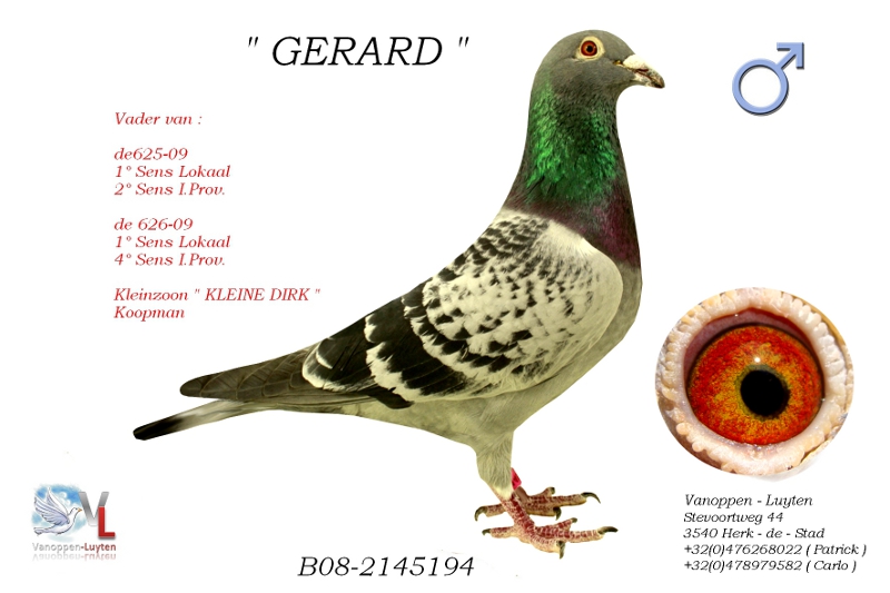 Gerard B08-2145194