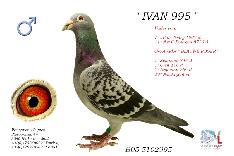 Ivan 995 B05-5102995