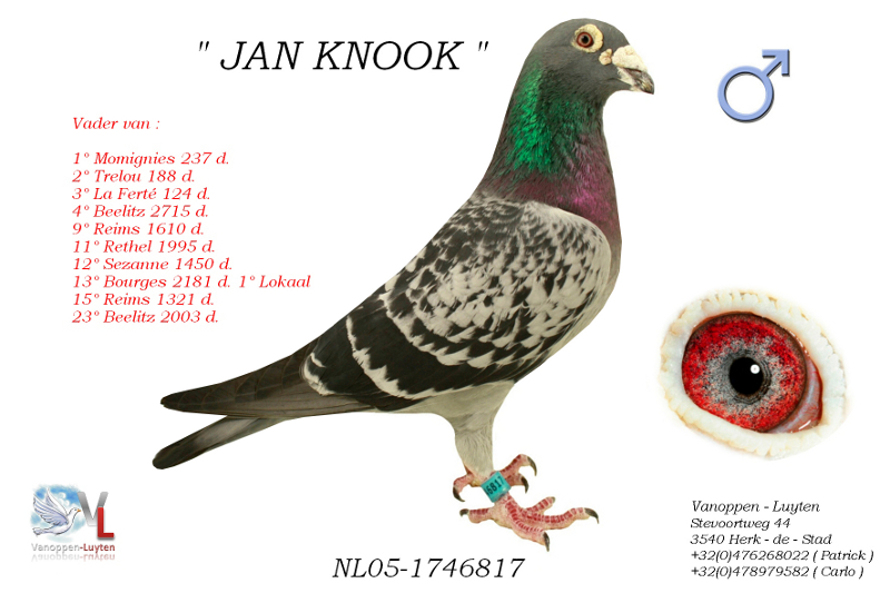 Jan Knook NL-1746817