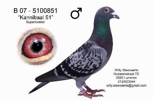 Kannibaal 51 B07-5100851