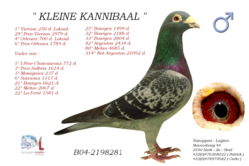 Kleine Kannibaal B04-2198281