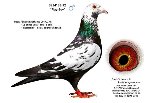 3934133-12 "Play-Boy"