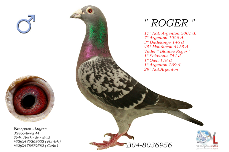 Roger B04-8036956