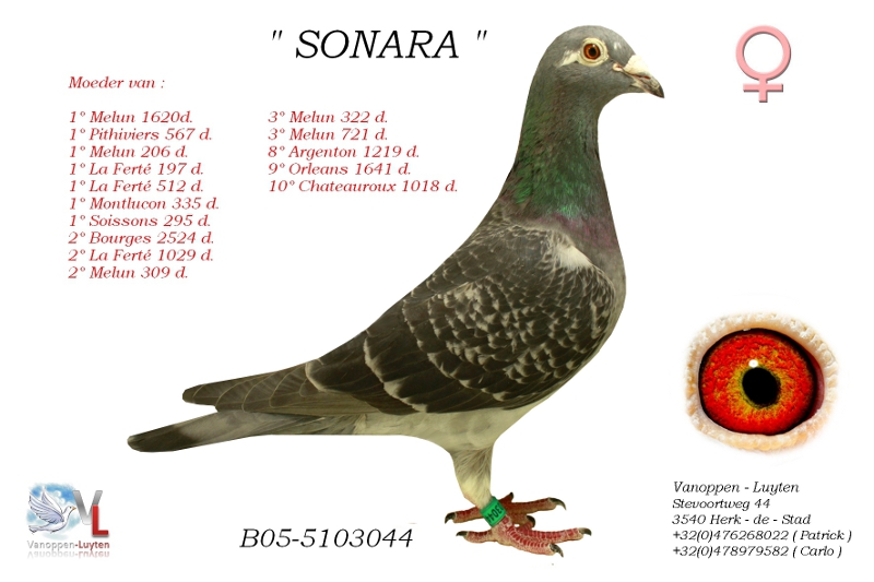 Sonara B05-5103044