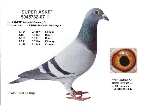 Super Aske 5045732-07