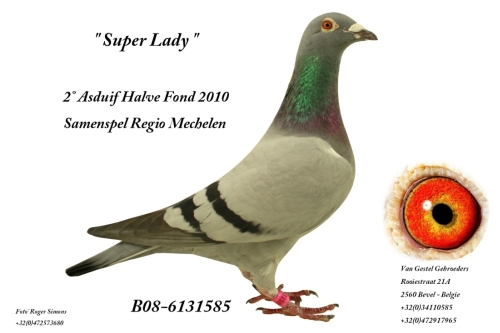 Super Lady B08-6131585