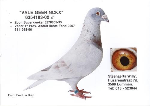 Vale Geerinckx 6354183-02