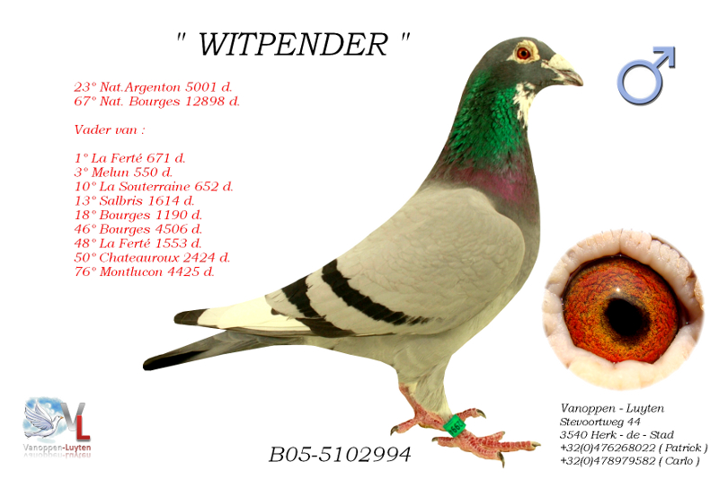 Witpender B05-5102994