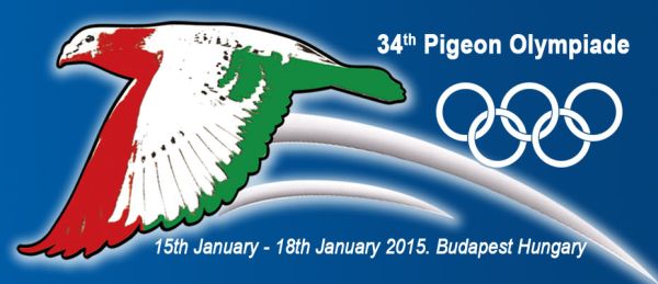 34 gołąb Olimpiada Budapeszt Węgry-2015