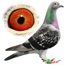 MONA LISA – BE10-3100565