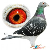 MOFFAT – BE11-3011354