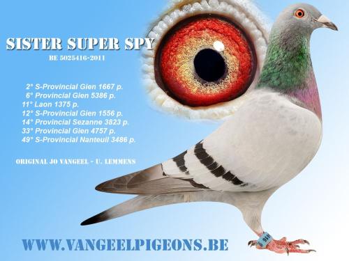 "Sister Super Spy" WORDEN 5025416-11