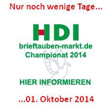 HDI pigeons-market Championship 2014 - your application – only a few days...