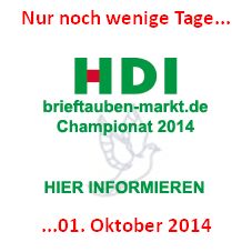 HDI brieftauben-markt Championat 2014 - Ihre Bewerbung - nur noch wenige Tage...